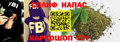 прущие грибы Славянск-на-Кубани