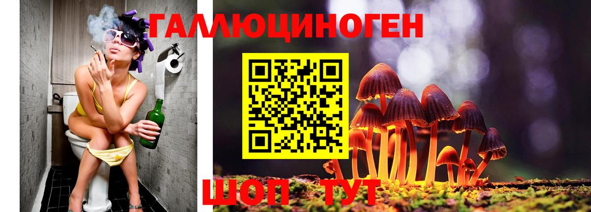 Мытищи  Псилоцибиновые грибы MAGIC MUSHROOMS  Галлюциногенные грибы мицелий  где найти наркотики  Вход с VPN 